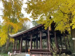 -成都杜甫草堂博物馆