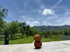-秦始皇帝陵博物院-丽山园