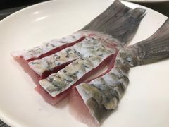 -正能量脆肉鲩火锅