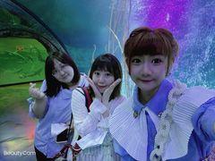 -沈阳海洋探索中心