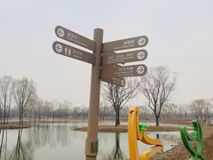 -大兴滨河森林公园