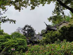 -惠山国家森林公园