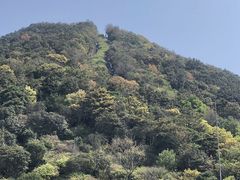 -梧桐山风景名胜区