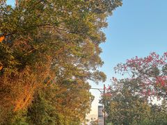 -广州市白云山风景名胜区