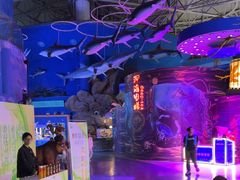 -烟台海昌鲸鲨海洋公园