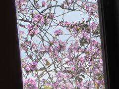 -华农酸奶文化馆