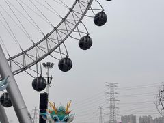 -海合安武汉极地海洋公园