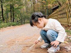 -天花井景区
