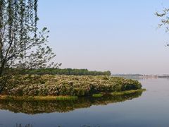 -丁香湖公园