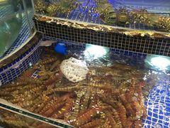 -欢乐海岸美食联盟