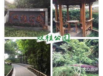 成都攻略|双桂公园  景点名： 双桂公园 