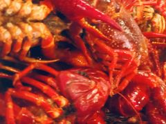 -通乐簋街小龙虾(老店)