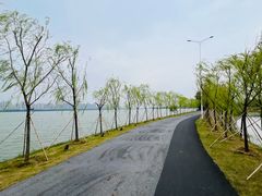 -艾溪湖湿地公园