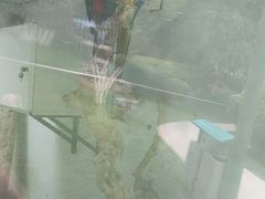 -青藏高原野生动物园
