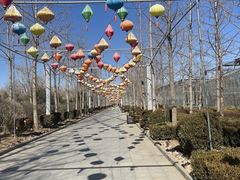 -南宫五洲植物乐园