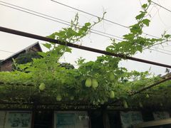 -天地生态农庄