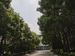 -南京东山外国语学校分校江宁区岔路学校