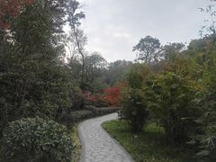 -南京东郊国宾馆