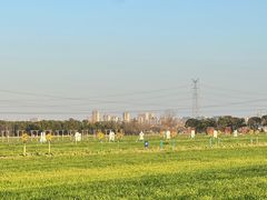 -嘉北郊野公园