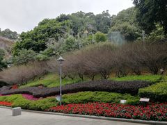-金鸡山公园