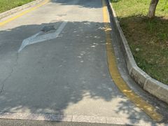 -华枫华元驾校(科技城校区)