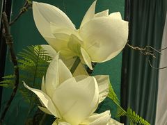 -观唐足道SPA养生会馆(南湖店)