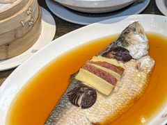 -苏浙汇(肇嘉浜路总店)