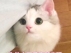 -稻香村(前门公交站店)