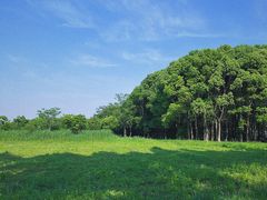 -良渚古城遗址公园