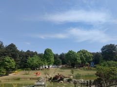 -铁山坪森林公园