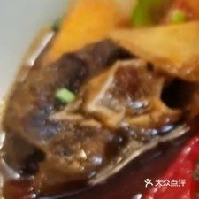 紧随鱼莊(辉隆名郡店)