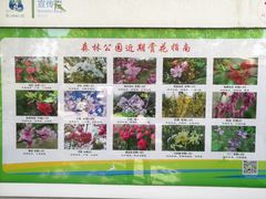 -昆山城市生态森林公园