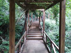 -大岭沟猕猴桃谷风景区