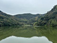 -黄埔油麻山森林公园