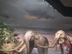 -湖南省地质博物馆