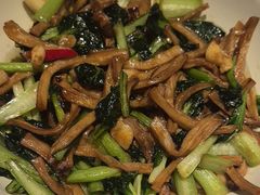 -同乐馆(阳光店)