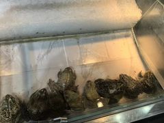 -圣罗巴海鲜烤肉自助(佳兆业店)