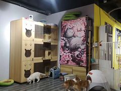 -浣熊柯尔鸭土拨鼠·电玩咖