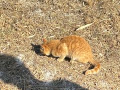 -野鸭湖国家湿地公园