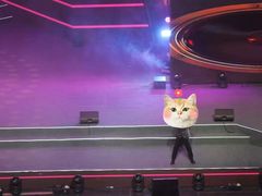 -成都金融城演艺中心