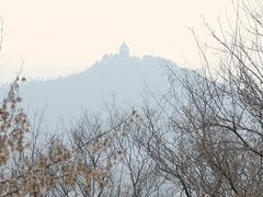 -上海佘山国家森林公园西佘山园