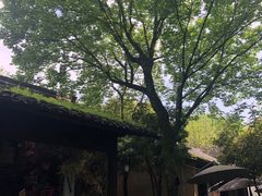 -法云安缦酒店