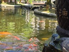 -顺德渔村·岭南一号