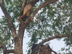 -北京西山国家森林公园