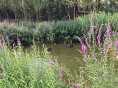 -济南野生动物世界