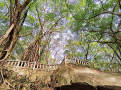 -乌山风景区