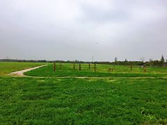 -嘉北郊野公园