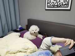 -山东宾馆·齐鲁苑餐厅