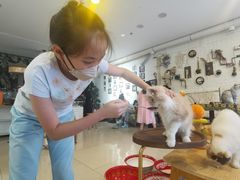 -平行世界·猫咖(首经贸店)