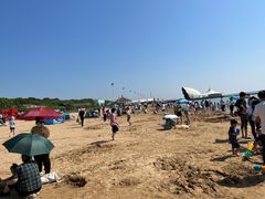 -碧海金沙